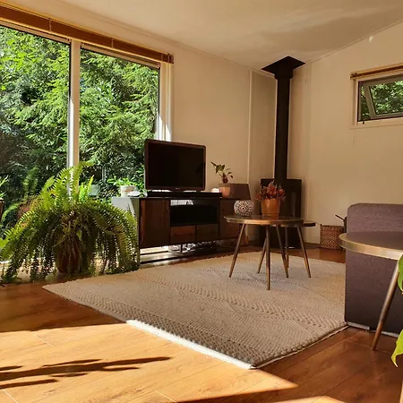 Holiday park Het Groene Hart Met Welness